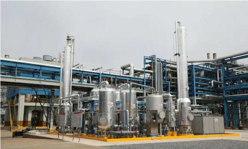 揚子石化 國產替代助力企業解決進口難題 互聯網銷售模式加速產業升級