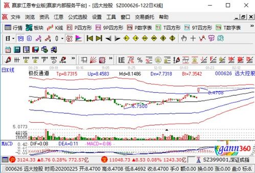 遠達控股強勢漲停，業績大幅預增與國內貿易代理業務成關鍵驅動力